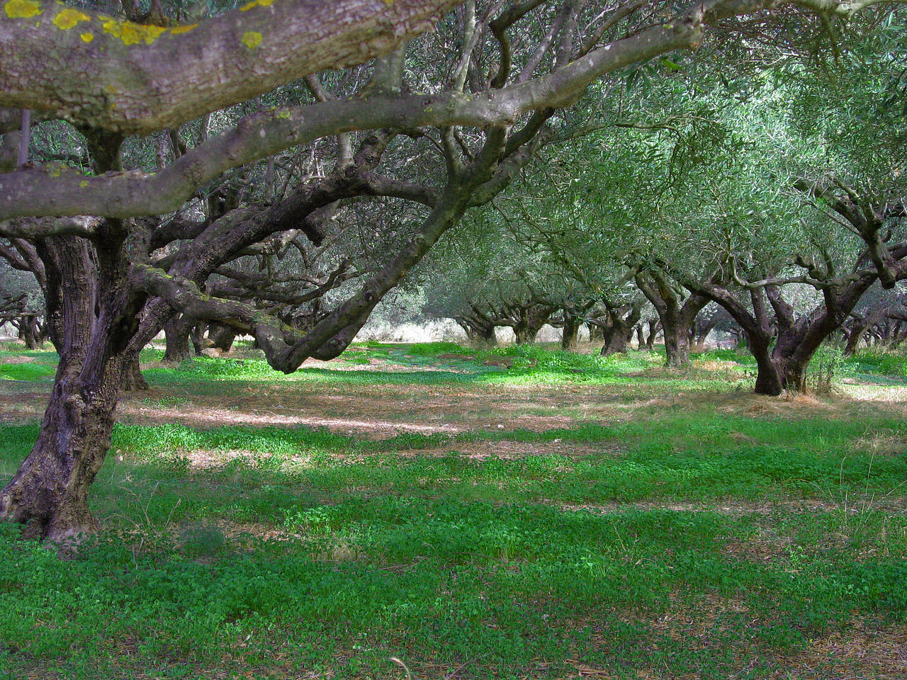 Gramvousa Foto 